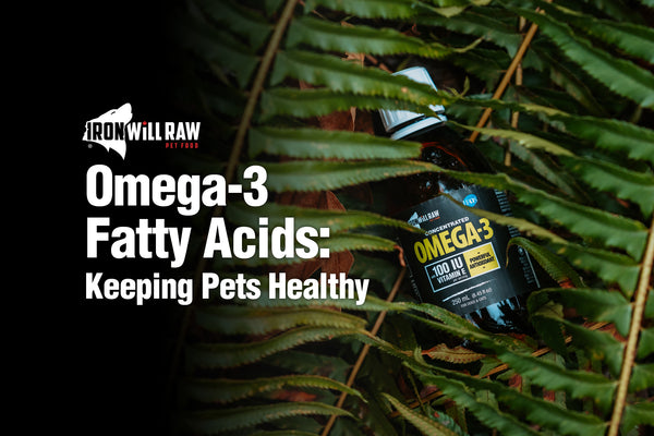 Dog food with on sale omega fatty acids