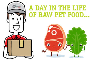 A day in the life of raw pet food