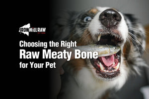 Choosing the Right Raw Meaty Bone for Your Pet