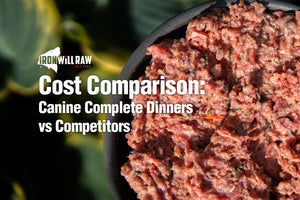 Canine Complete Dinners: Simplifying Pet Nutrition for the Busy Household