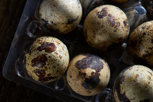 Egg-cellent Bowl Toppers For Pet Food