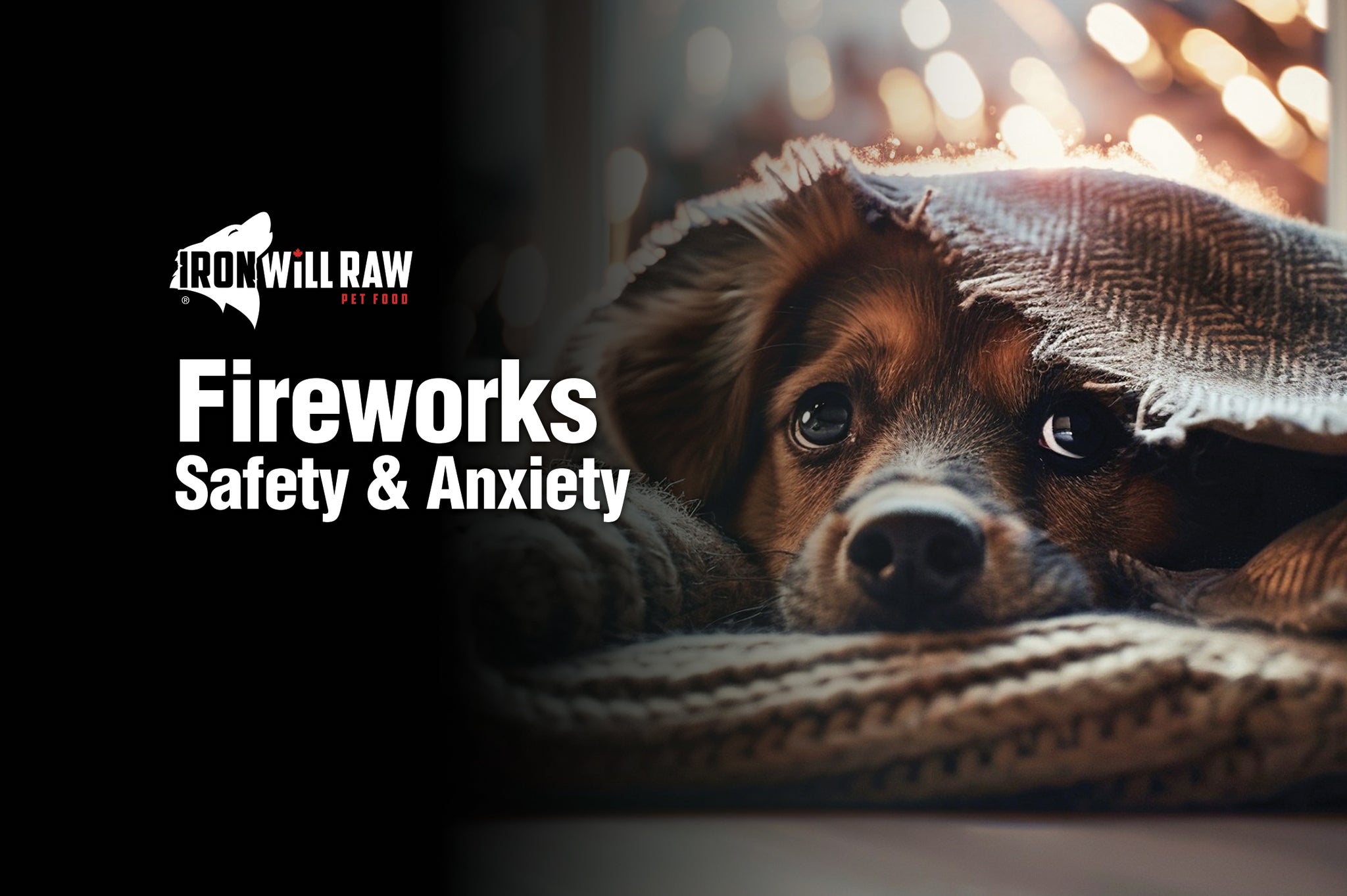Firework Safety and Anxiety - Iron Will Raw Inc.