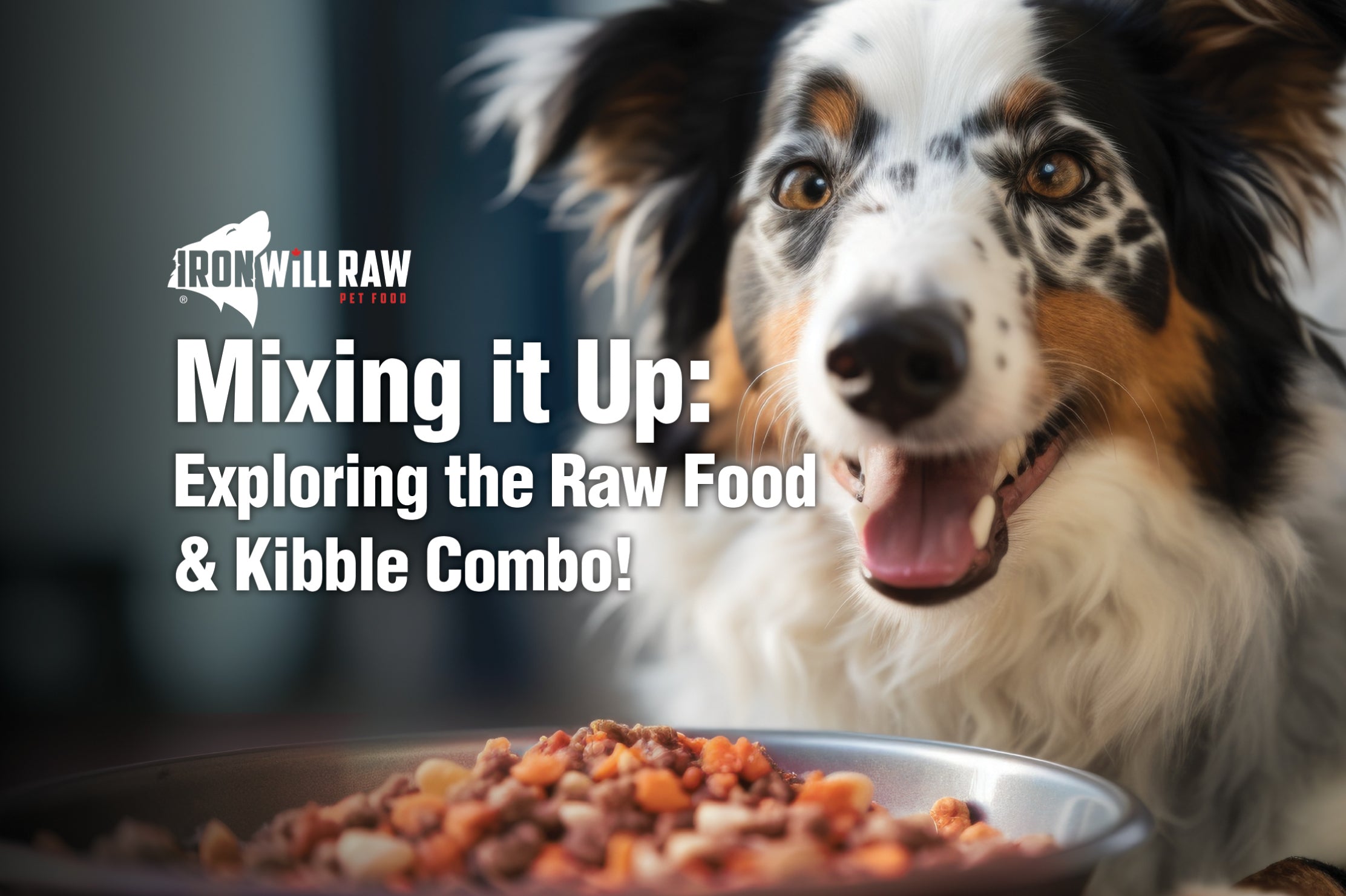Illustration of Raw Meat And Kibble For Digestive Health