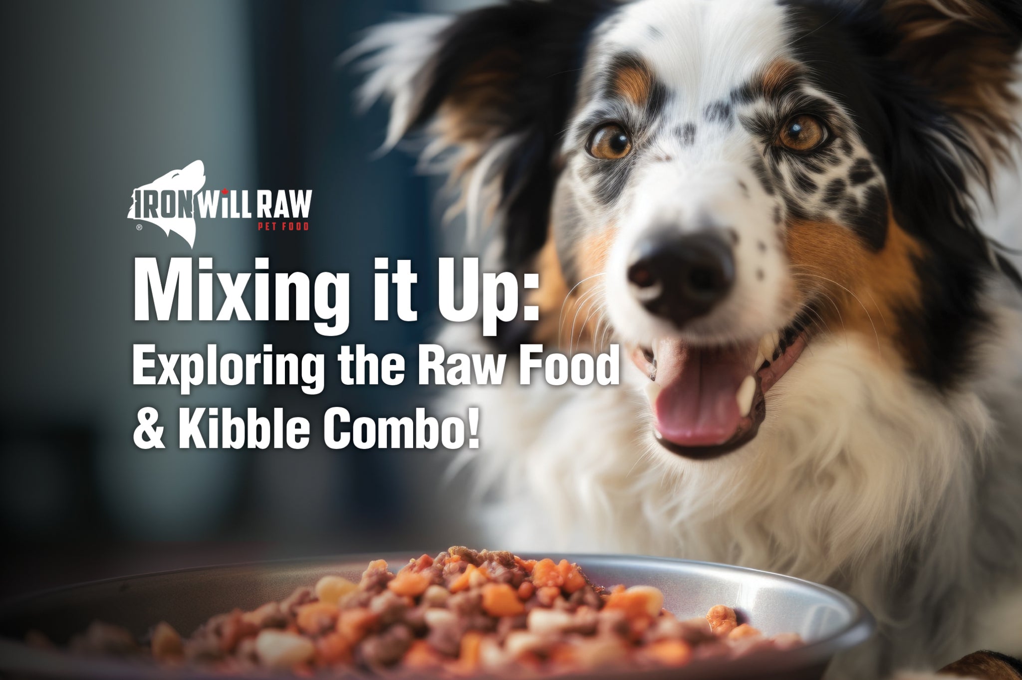 Max Kibble Mixing it Up: Exploring the Raw Food & Kibble Combo - Iron Will Raw Inc.