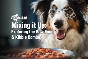 Mixing it Up: Exploring the Raw Food & Kibble Combo