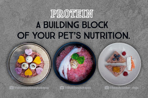 WHY YOUR PET NEEDS MORE THAN ONE TYPE OF PROTEIN