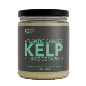 Atlantic Canada Kelp