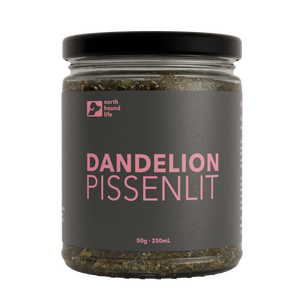 Dandelion Pissenlit