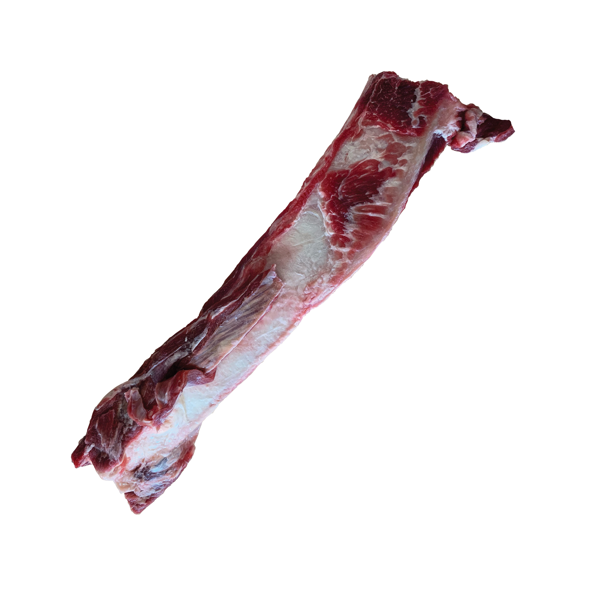 Beef short rib bones online for dogs