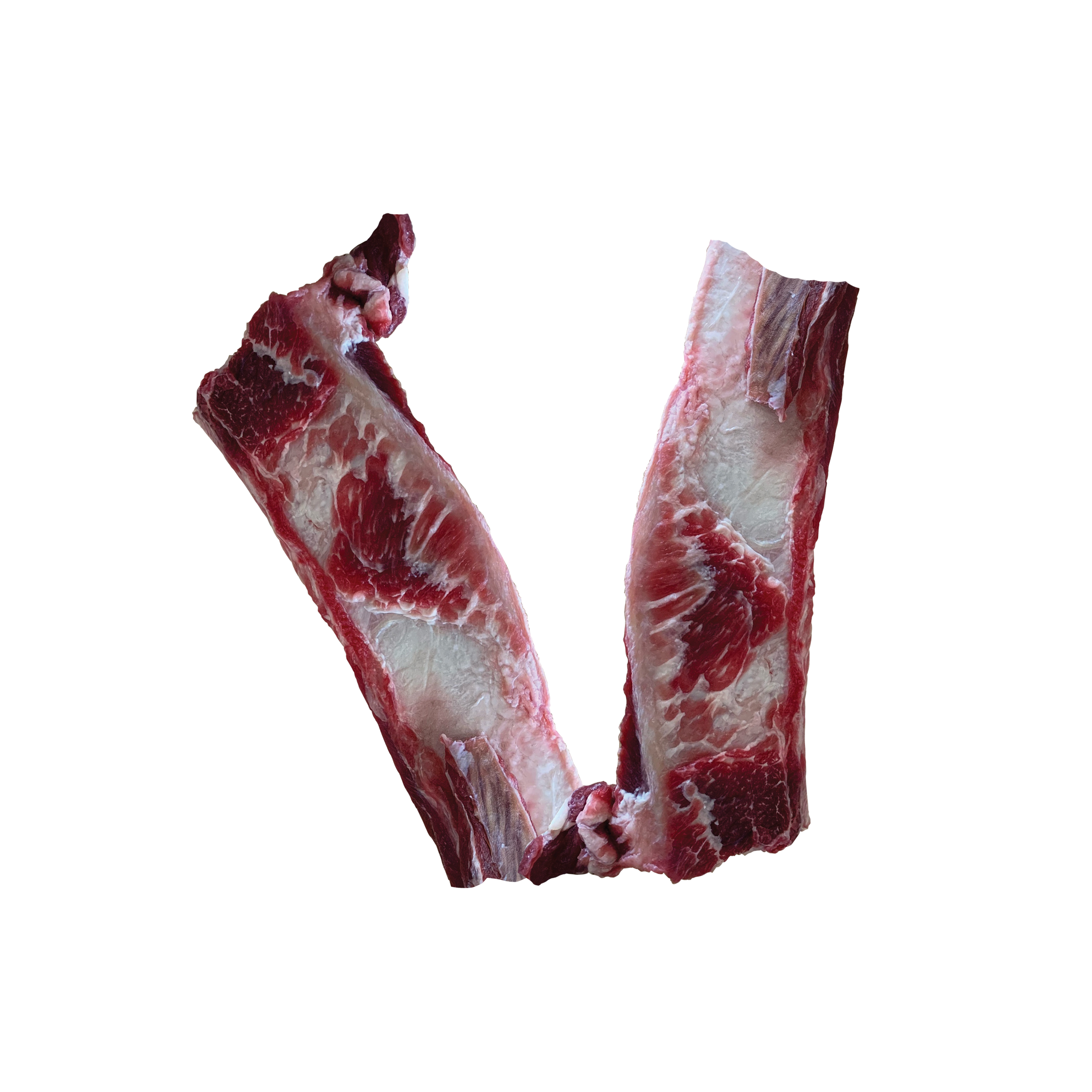 Small Rib Bone Beef Rib Bones, Small - 1 lb – Iron Will Raw Inc.